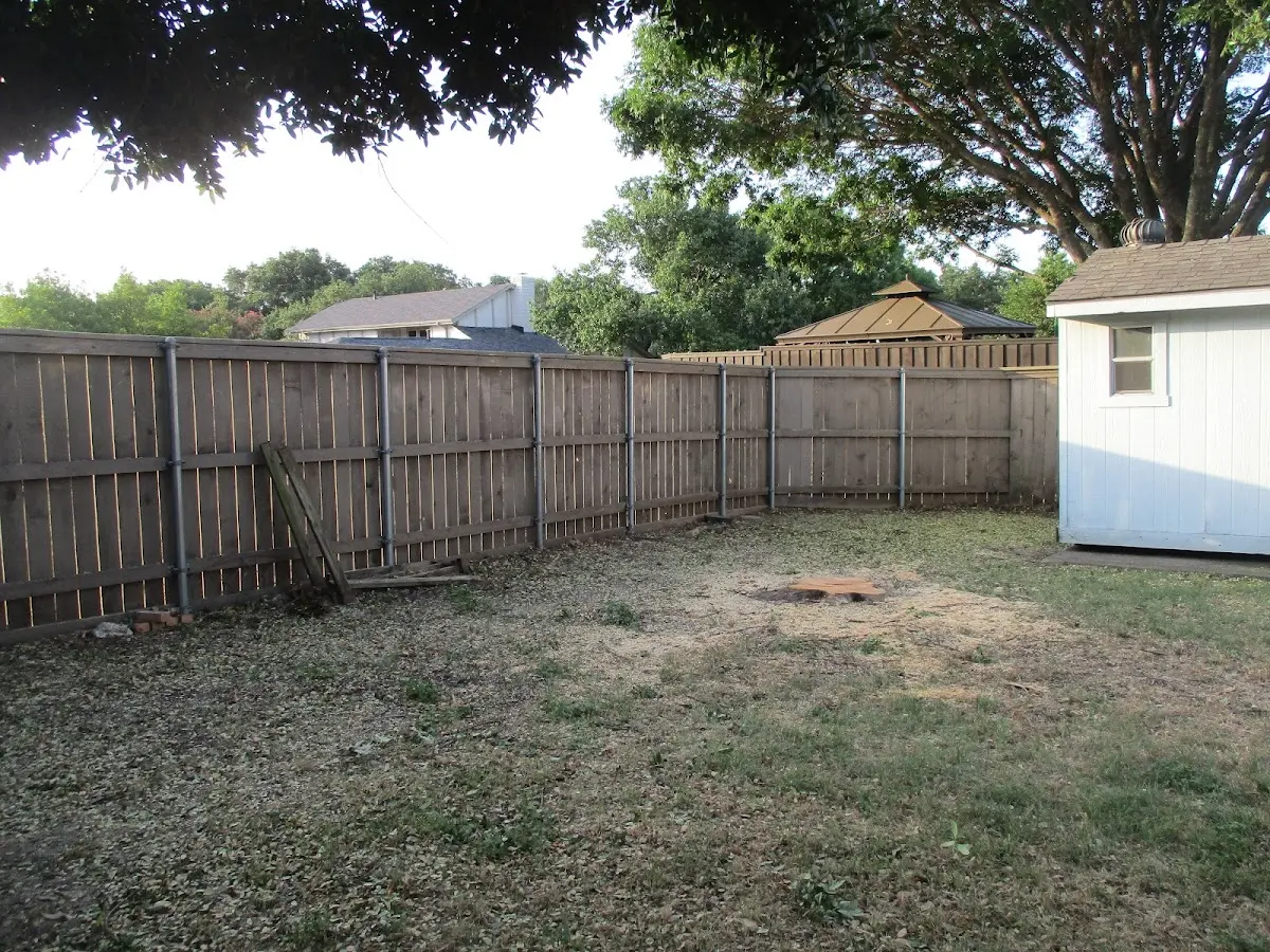 Cleared yard after professional tree removal in Mauricetown